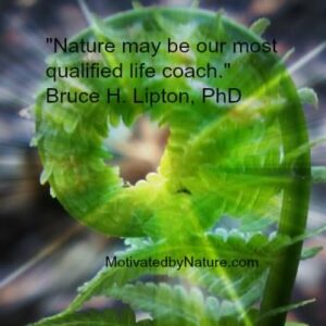 Nature_most_qualified_life_coach