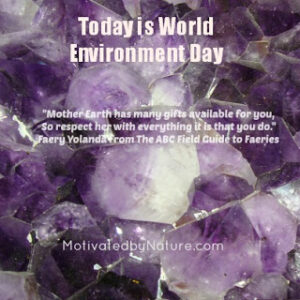 World_Environment_Day